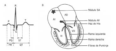 Figura 1.